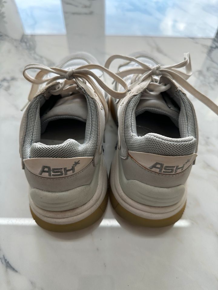 ASH Addict bis Damen Sneaker in der Größe 37. in Köln