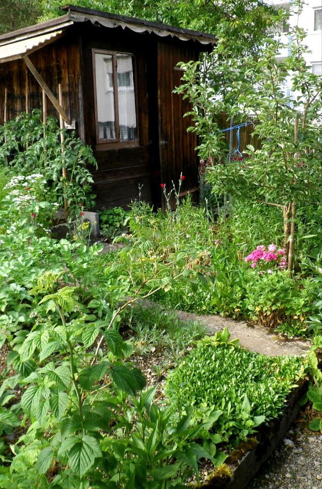 Garten für Gemüseanbau gesucht in Freiburg im Breisgau