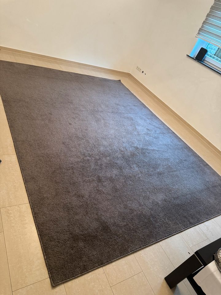 Teppich Kurzfloor 280x370 braun in Marl