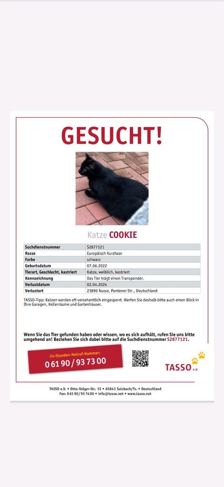 Cookie wird vermisst in Nusse