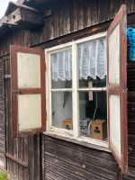 2 Holzfenster inkl. Fensterläden + Fenster/Fensterläden für Deko Thüringen - Gotha Vorschau