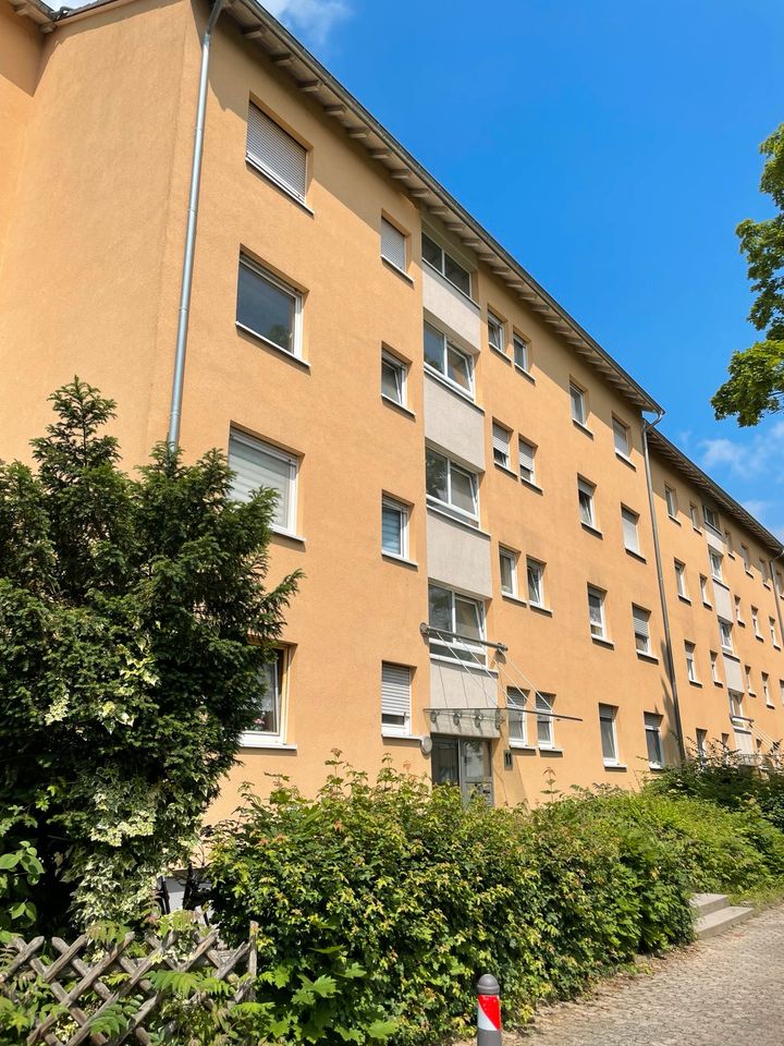 90qm Erdgeschoss Wohnung zu vermieten in Groß-Gerau