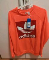 Original Adidas Damen Pullover Brandneu neon orange/ pink Rostock - Evershagen Vorschau