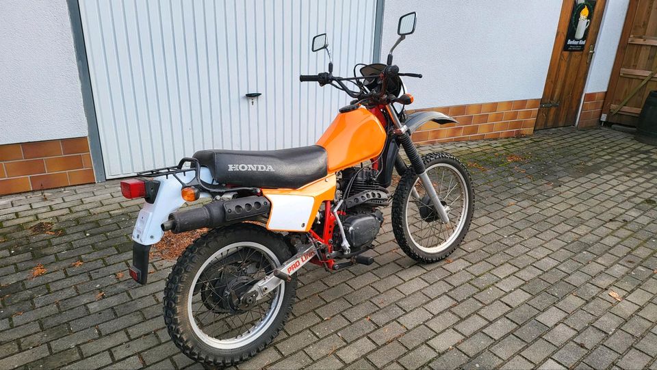 Honda XL 250 in Wiesenaue