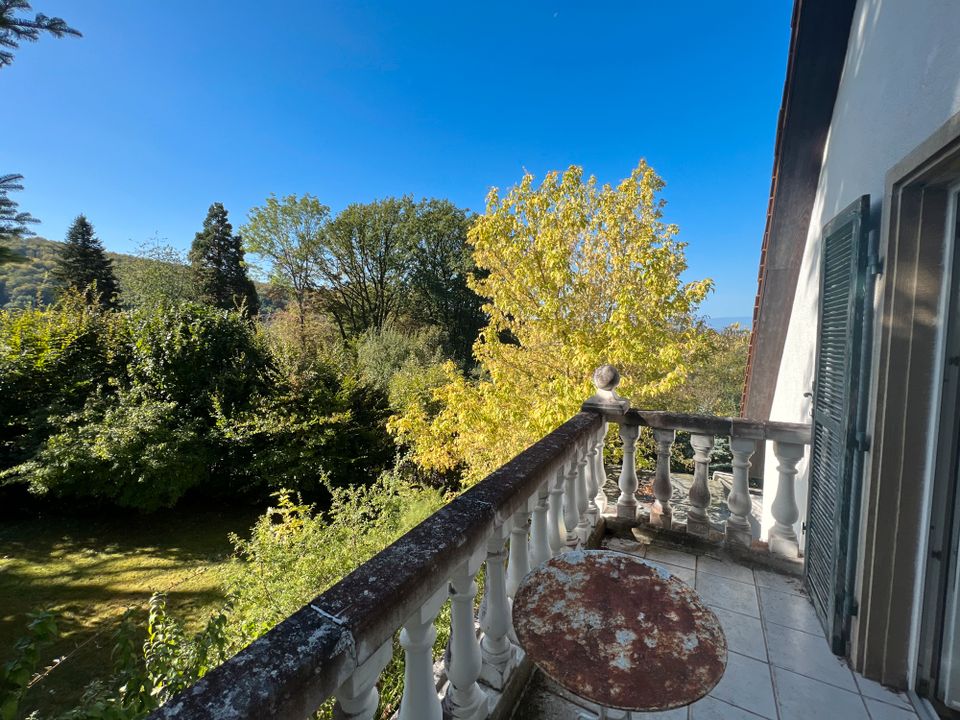 Traumhaus in wunderschöner Lage mit grossem Grundstück und Wald sucht neue Eigentümer! in Badenweiler