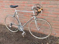 Rennrad, Vintage, Oldtimer, Gazelle Champion Mondial, RH 59 cm Eimsbüttel - Hamburg Eidelstedt Vorschau