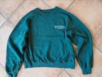 Hollister Sweatshirt Größe XS Schleswig-Holstein - Elmenhorst Kr Stormarn Vorschau