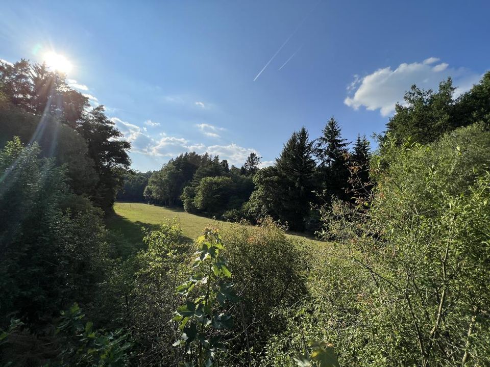 TOP PREIS: Idyllisches Baugrundstück am Mühlbach in Burgthann 