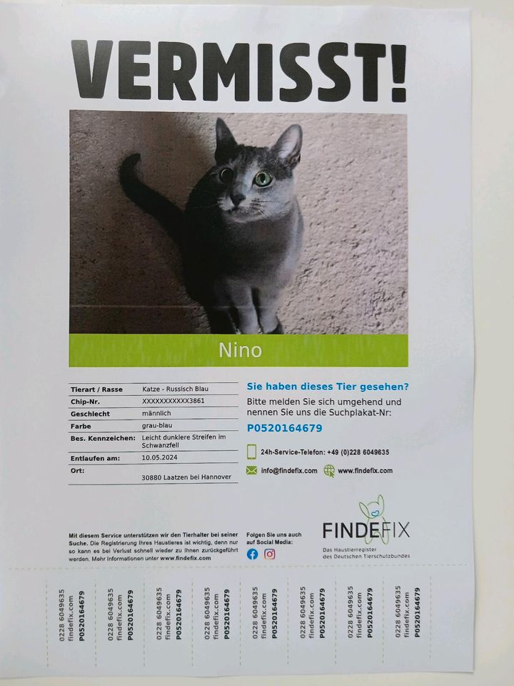 Katze vermisst! in Hannover