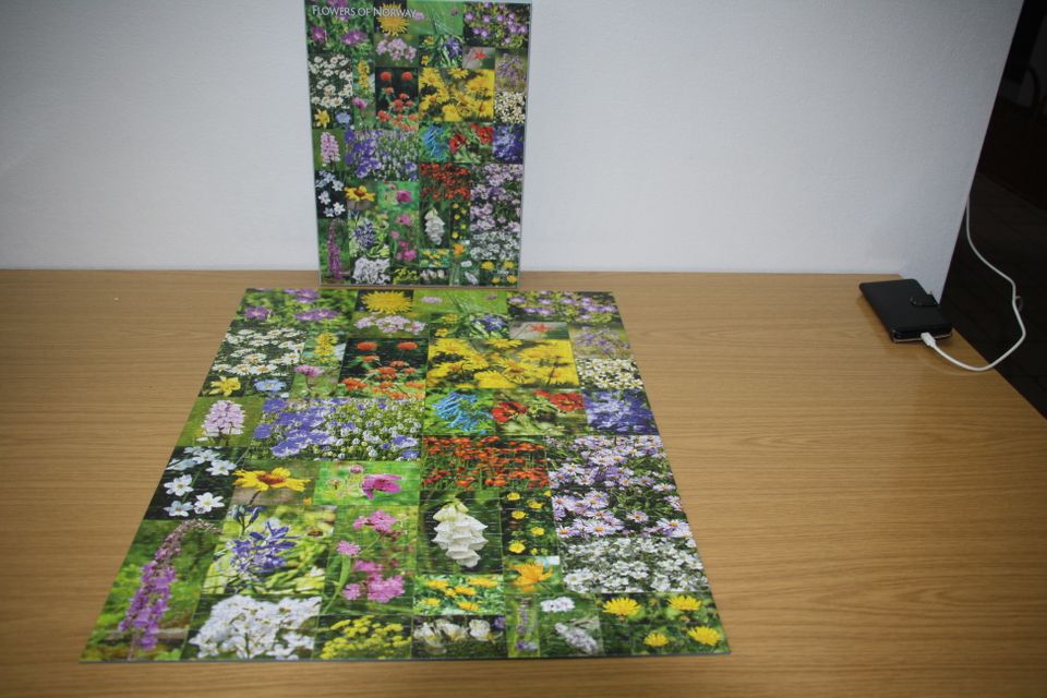 2x 1000 Teile Puzzle Birds/ Flowers of Norway Je 12 € in Cölbe