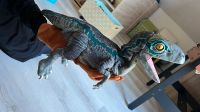 JURASSIC WORLD Dinosaurier Blue mit Handschuh zum steuern Sachsen-Anhalt - Dessau-Roßlau Vorschau