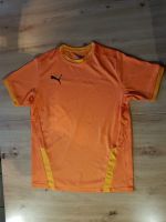 Sportshirt T-Shirt Puma drycell Gr. 176 Hessen - Rödermark Vorschau