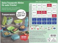 20 REWE-Treuepunkte für Prämien von Tupperware® Köln - Köln Brück Vorschau