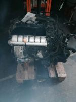 Motor VW Sharan V6 Nordrhein-Westfalen - Hagen Vorschau