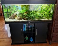 Juwel 240 L Aquarium+Unterschrank mit viel Zubehör Nordrhein-Westfalen - Paderborn Vorschau