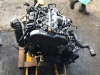 MMOTOR AUDI 2.0 TDI CAH CAHA 170PS A4 A5 A6 Q5 Komplett Berlin - Wilmersdorf Vorschau