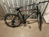 Fahrrad Ciclista 26 Zoll Duisburg - Duisburg-Mitte Vorschau