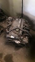 Ford Fiesta 16V Zetec Motor 1,25L 75 PS ca.64000 km Nordrhein-Westfalen - Voerde (Niederrhein) Vorschau