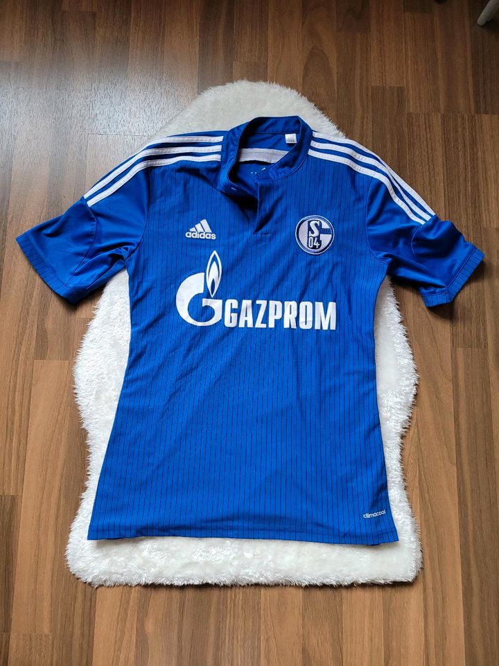 Trikot "Schalke 04" in Wolfsburg