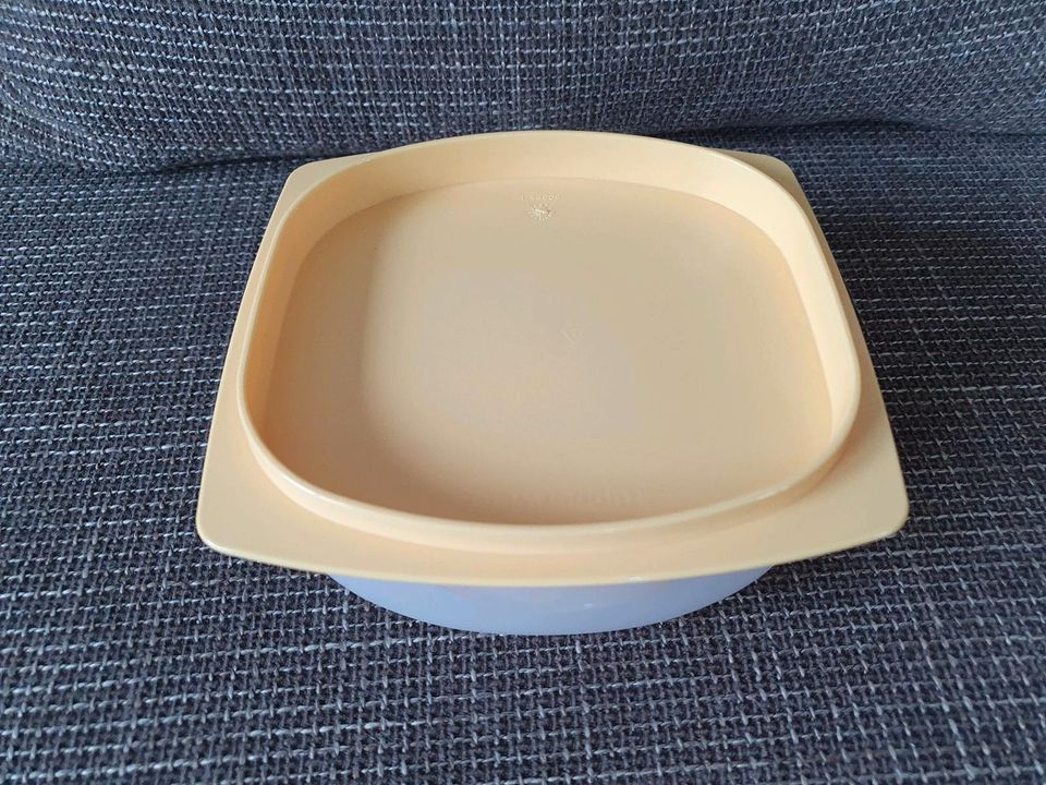 Tupperware kleiner Käse Max in Schiffdorf