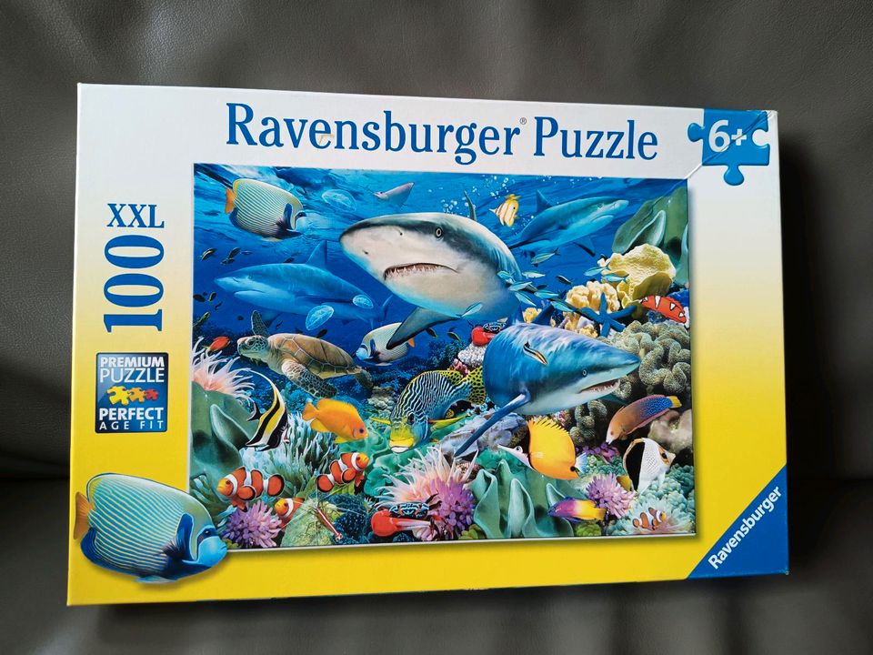 Puzzle Drei Fragezeichen ??? Kids und Hai Riff Puzzel in Bonn