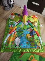 Spielebogen Fisher Price Rain Forest Sachsen - Radeberg Vorschau