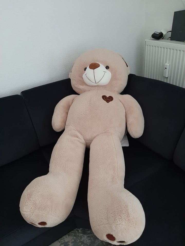 Teddybär groß in Iserlohn