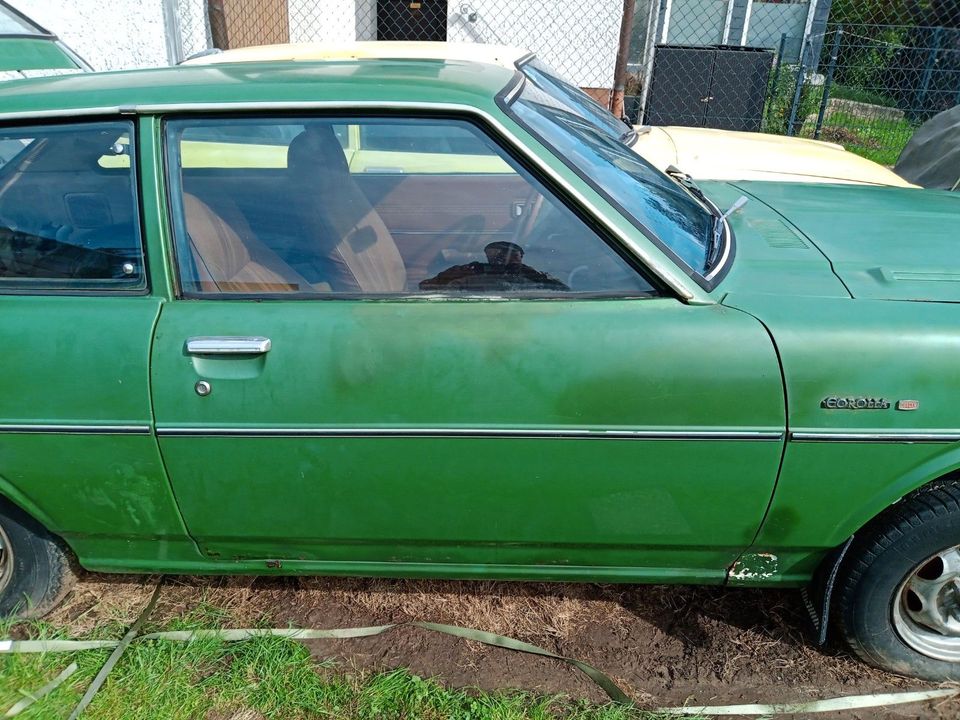 Toyota Corolla Liftback Oldtimer in Wehrheim