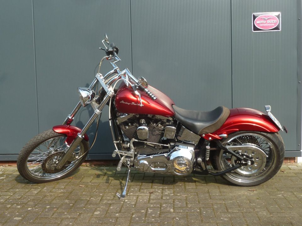 Harley Davidson Softail in Bokel