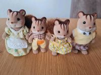 Sylvanian Families Eichhörnchen Familie *neuwertig* Nordrhein-Westfalen - Bad Lippspringe Vorschau