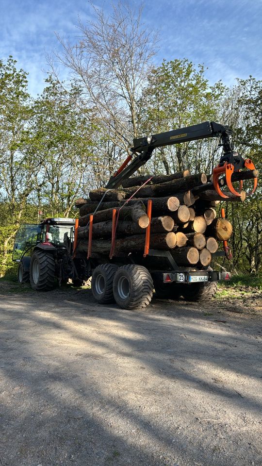 Stammholztransport Transport von Brennholz kaminholz Buche Eiche in Mettlach