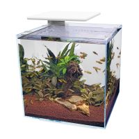 Aquarium 60 Liter Nordrhein-Westfalen - Kalkar Vorschau