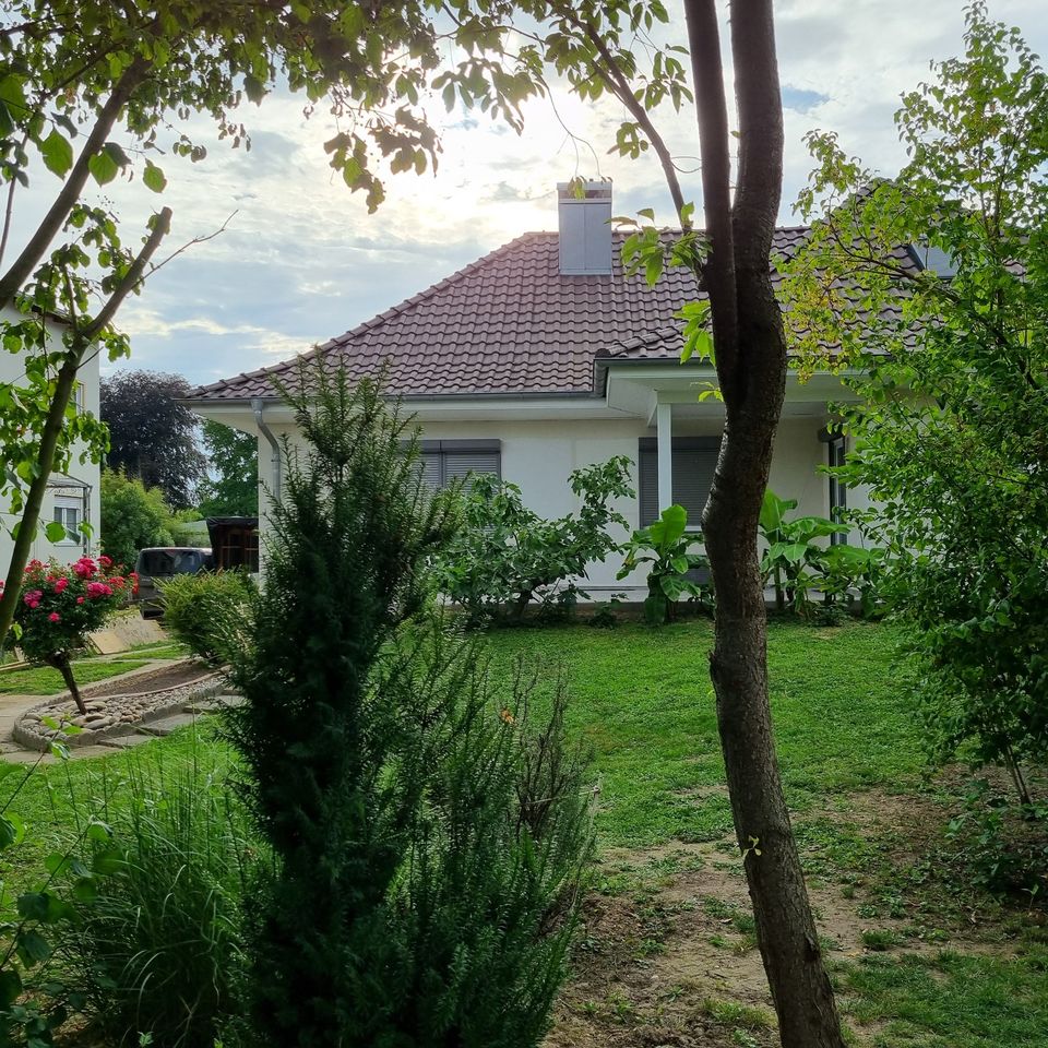 Freistehendes Einfamilienhaus in Top Lage in Kandel in Kandel