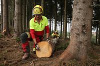 Forstwirtschaftsmeister Förster Waldarbeiter Forstwirt Meister Hessen - Diemelstadt Vorschau