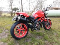 Ducati Monster 1100 keine BMW KTM Honda Yamaha Schleswig-Holstein - Stolk Vorschau