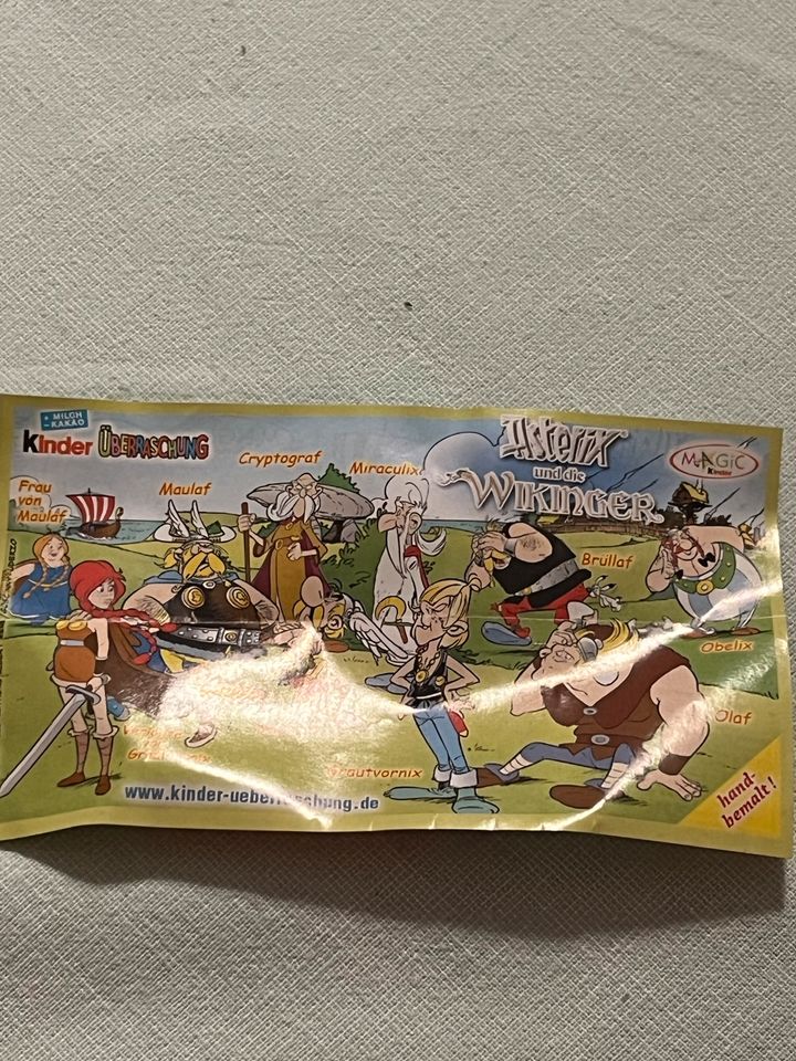 FERRERO ASTERIX UND DIE WIKINGER MAULAF MIT BPZ Ü EI 2007 in Rheinstetten