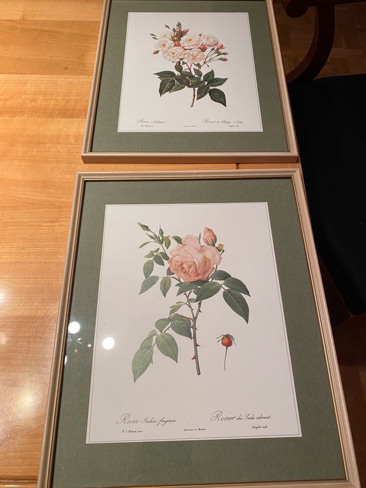 2 Bilder mit Rosen Rosenbilder in Traben-Trarbach