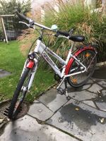 Pegasus 26 Zoll Fahrrad in weiß-rot Nordrhein-Westfalen - Solingen Vorschau