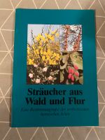 Sträucher aus Wald und Flur Bestimmungstafel Rheinland-Pfalz - Simmern Vorschau