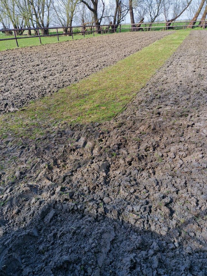 Biete Bodenfräsen und Bodenumkehrfräsen in Neuenkirchen