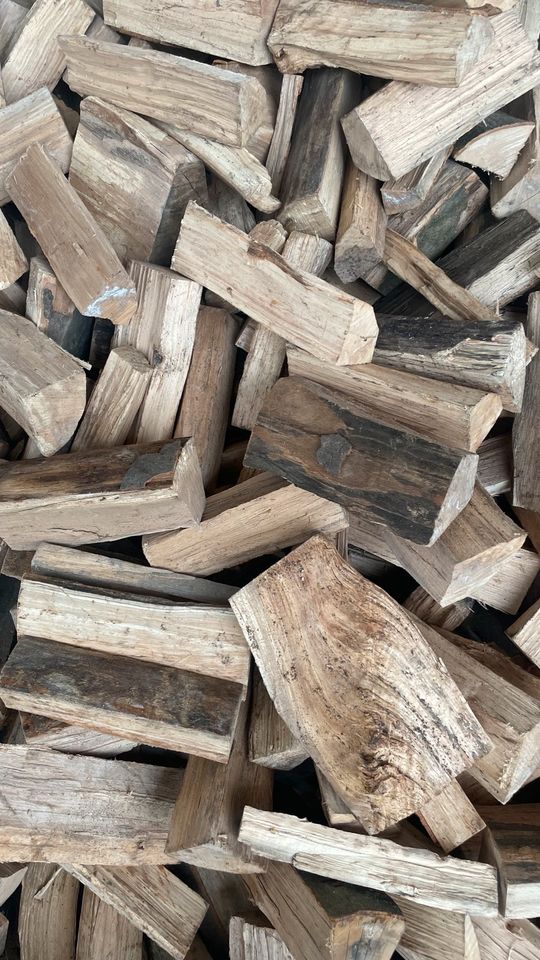 Brennholz trocken 30 cm Mischholz diverse Holzarten in Hameln
