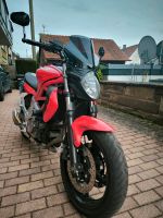 Suzuki Gladius SFV650 (Tiefergelegt) mit vielen Extras Baden-Württemberg - Korntal-Münchingen Vorschau