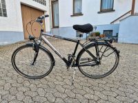 Herren Fahrrad 28 Zoll von Kettler Rheinland-Pfalz - Welcherath Vorschau