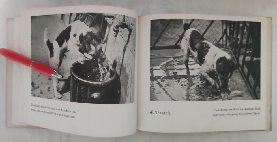 Bimbo und Bambo Zwei fidele Hundeseelen altes Kinderbuch v. 1936 in Möser