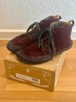 Wildling Brombeere Blackberry 38 Wolle Brandenburg - Potsdam Vorschau