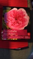 Zauberhafte Rosen Buch Niedersachsen - Rastede Vorschau