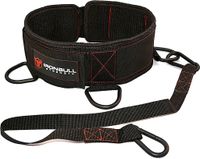 Dip Gürtel Neu / Iron Bull Strength Advanced Dip Belt Ironbull Baden-Württemberg - Schorndorf Vorschau