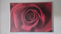 Ikea Bild - Rose Alurahmen 1.00 m x 1.40 m Berlin - Köpenick Vorschau