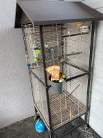 Verkaufe schone Käfig Vogel Nordrhein-Westfalen - Warburg Vorschau