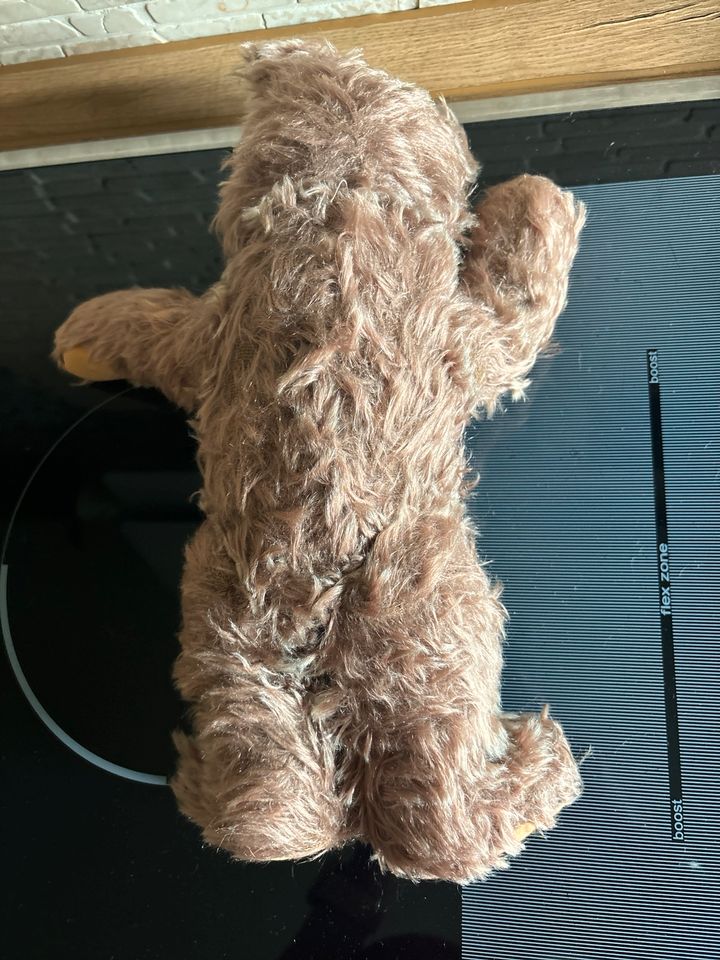 Alter Teddy mit 5 Fach  Gelenken in Groß Vollstedt